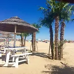 Delsa -